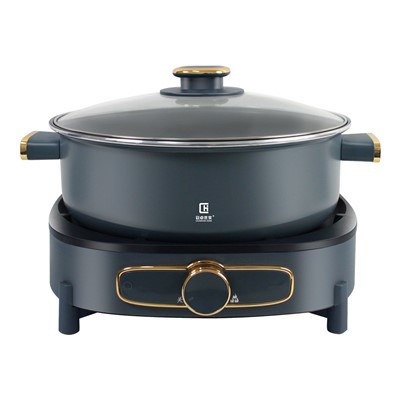 Elektrisk stegepande med stegepande